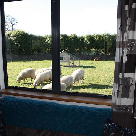 Cottages On St Andrews Havelock North Room photo