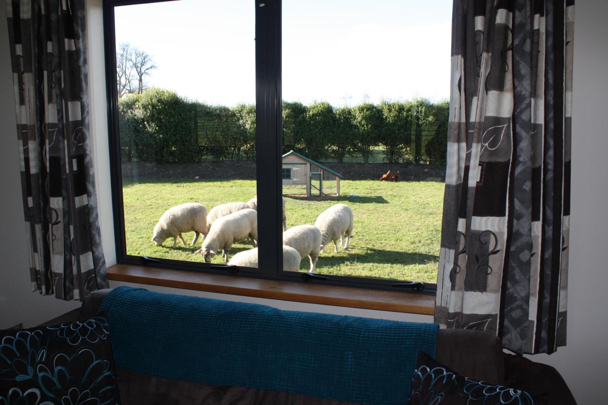 Cottages On St Andrews Havelock North Room photo